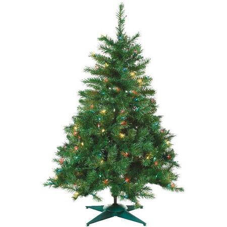 WORLDWIDE SOURCING 2'P/L Colrad Spruce Tree 3684A